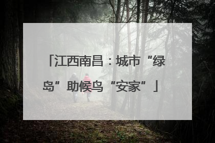 江西南昌：城市“绿岛”助候鸟“安家”