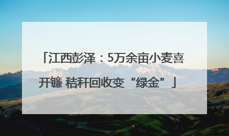 江西彭泽：5万余亩小麦喜开镰 秸秆回收变“绿金”