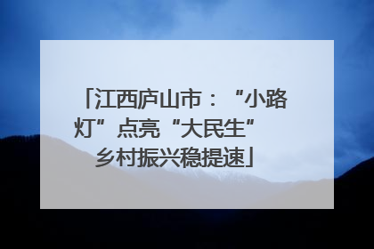 江西庐山市：“小路灯”点亮“大民生” 乡村振兴稳提速
