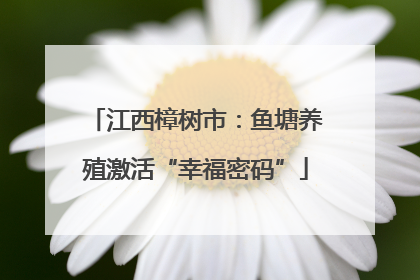 江西樟树市：鱼塘养殖激活“幸福密码”