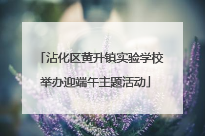 沾化区黄升镇实验学校举办迎端午主题活动