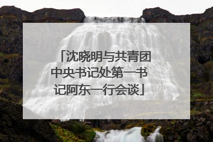 沈晓明与共青团中央书记处第一书记阿东一行会谈