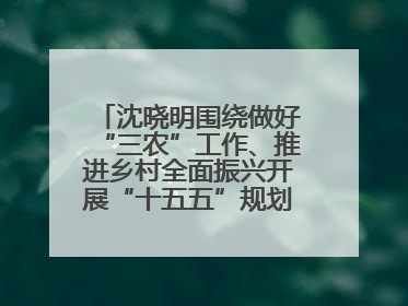 沈晓明围绕做好“三农”工作、推进乡村全面振兴开展“十五五”规划专题调研