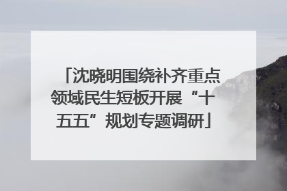 沈晓明围绕补齐重点领域民生短板开展“十五五”规划专题调研