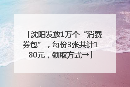 沈阳发放1万个“消费券包”，每份3张共计180元，领取方式→