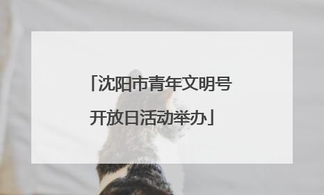 沈阳市青年文明号开放日活动举办