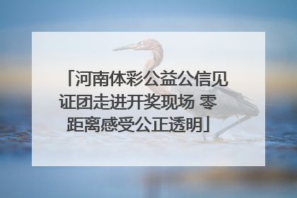 河南体彩公益公信见证团走进开奖现场 零距离感受公正透明