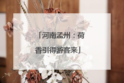 河南孟州：荷香引得游客来