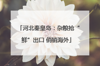 河北秦皇岛：杂粮抢“鲜”出口 俏销海外