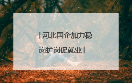 河北国企加力稳岗扩岗促就业