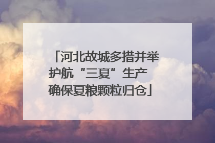 河北故城多措并举护航“三夏”生产 确保夏粮颗粒归仓
