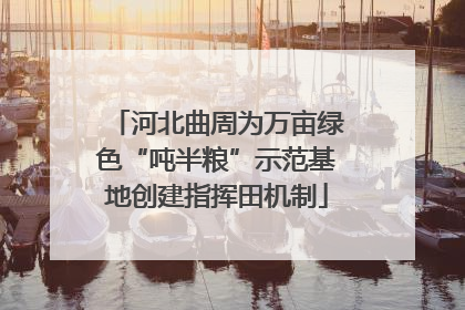 河北曲周为万亩绿色“吨半粮”示范基地创建指挥田机制