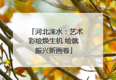 河北涞水：艺术彩绘焕生机 绘就振兴新画卷