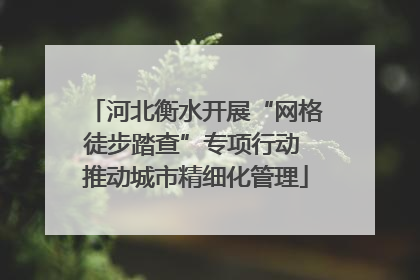 河北衡水开展“网格徒步踏查”专项行动 推动城市精细化管理