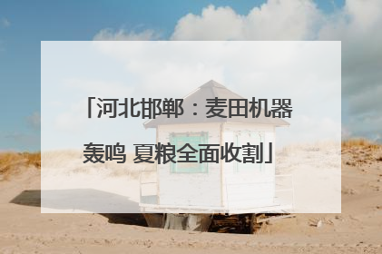 河北邯郸：麦田机器轰鸣 夏粮全面收割