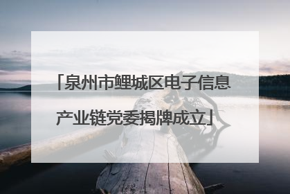 泉州市鲤城区电子信息产业链党委揭牌成立