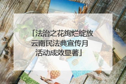法治之花绚烂绽放 云南民法典宣传月活动成效显著