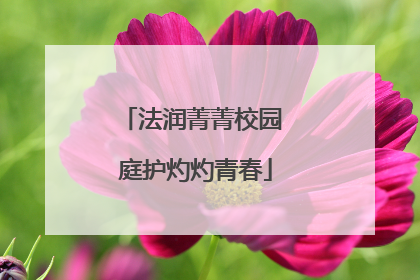 法润菁菁校园 庭护灼灼青春