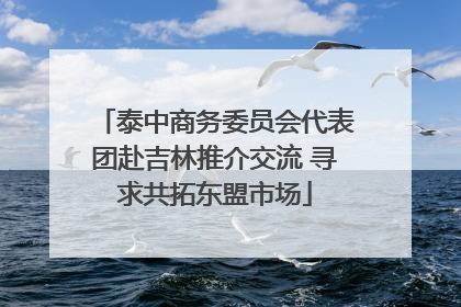 泰中商务委员会代表团赴吉林推介交流 寻求共拓东盟市场