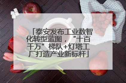 泰安发布工业数智化转型蓝图，“十百千万”梯队+灯塔工厂打造产业新标杆