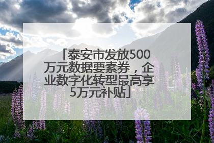 泰安市发放500万元数据要素券，企业数字化转型最高享5万元补贴