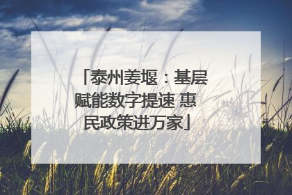 泰州姜堰：基层赋能数字提速 惠民政策进万家