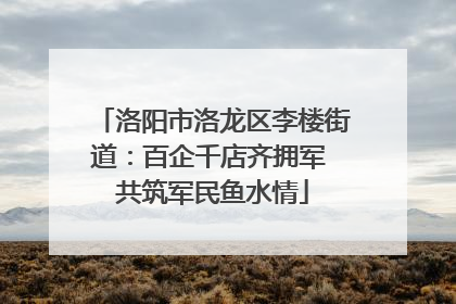 洛阳市洛龙区李楼街道：百企千店齐拥军 共筑军民鱼水情