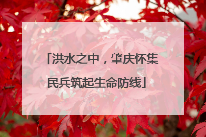 洪水之中，肇庆怀集民兵筑起生命防线