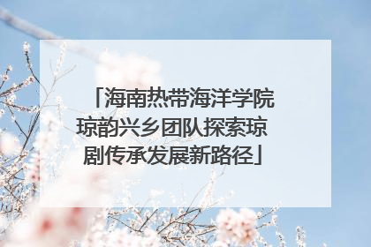 海南热带海洋学院琼韵兴乡团队探索琼剧传承发展新路径