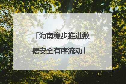 海南稳步推进数据安全有序流动