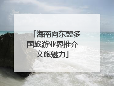 海南向东盟多国旅游业界推介文旅魅力