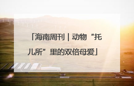 海南周刊｜动物“托儿所”里的双倍母爱