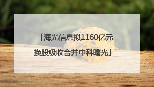 海光信息拟1160亿元换股吸收合并中科曙光