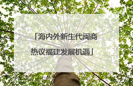 海内外新生代闽商热议福建发展机遇