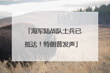海军陆战队士兵已抵达！特朗普发声