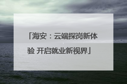 海安：云端探岗新体验 开启就业新视界