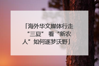 海外华文媒体行走“三夏” 看“新农人”如何逐梦沃野
