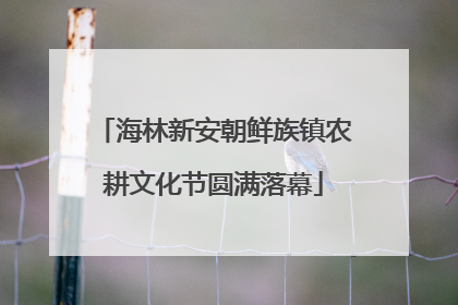 海林新安朝鲜族镇农耕文化节圆满落幕