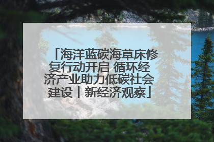 海洋蓝碳海草床修复行动开启 循环经济产业助力低碳社会建设丨新经济观察