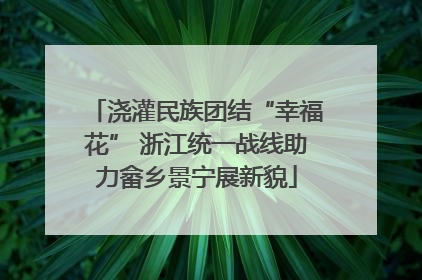 浇灌民族团结“幸福花” 浙江统一战线助力畲乡景宁展新貌