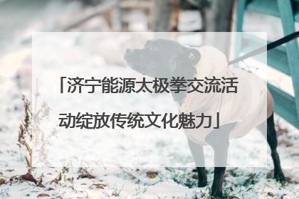 济宁能源太极拳交流活动绽放传统文化魅力
