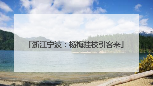 浙江宁波：杨梅挂枝引客来