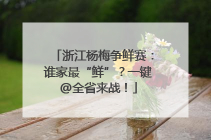 浙江杨梅争鲜赛：谁家最“鲜”？一键@全省来战！