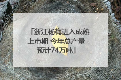 浙江杨梅进入成熟上市期 今年总产量预计74万吨