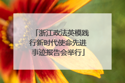 浙江政法英模践行新时代使命先进事迹报告会举行