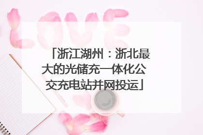 浙江湖州：浙北最大的光储充一体化公交充电站并网投运