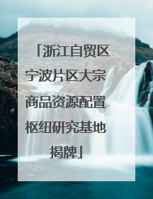 浙江自贸区宁波片区大宗商品资源配置枢纽研究基地揭牌