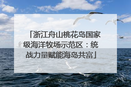 浙江舟山桃花岛国家级海洋牧场示范区：统战力量赋能海岛共富