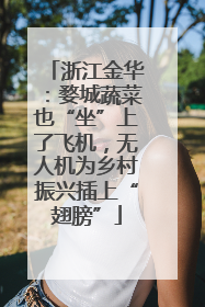 浙江金华：婺城蔬菜也“坐”上了飞机，无人机为乡村振兴插上“翅膀”