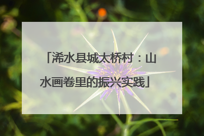 浠水县城太桥村：山水画卷里的振兴实践